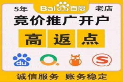 SEM推广公司案例分享：电商品牌崛起之路